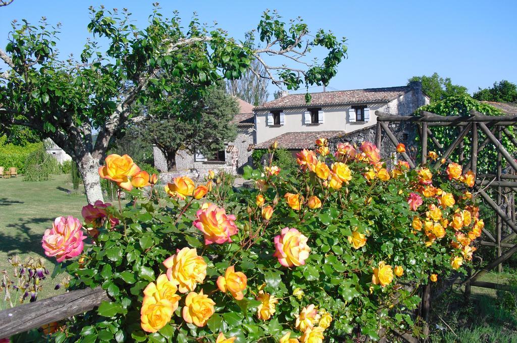 Luxury B&B Maison à votre Santé, in Bordeaux wine region Savignac-de-Duras Extérieur photo